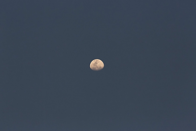 Famille et amis-MAR14-068